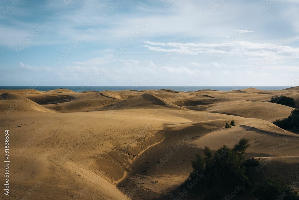 a dirt field that has some sand in it by the ocean