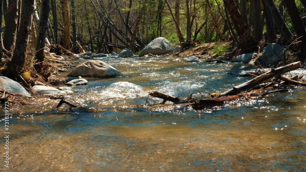 Water flowing through a river against a tree branch. Tree trunk in the middle of a river with water falling and rocks in the background. Mountain river on a sunny day. Eaton Canyon. Slow motion, 4k Water flowing through a river against a tree branch. Tree trunk in the middle of a river with water falling and rocks in the background. Mountain river on a sunny day. Eaton Canyon. Slow motion, 4k