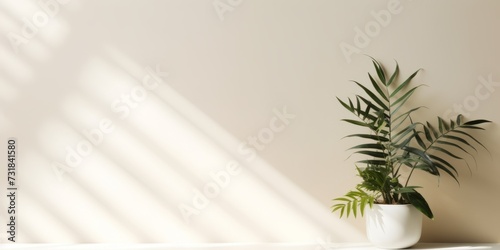 Foggy shadow from plant leaves on a light wall, abstract background for product presentation, space for text