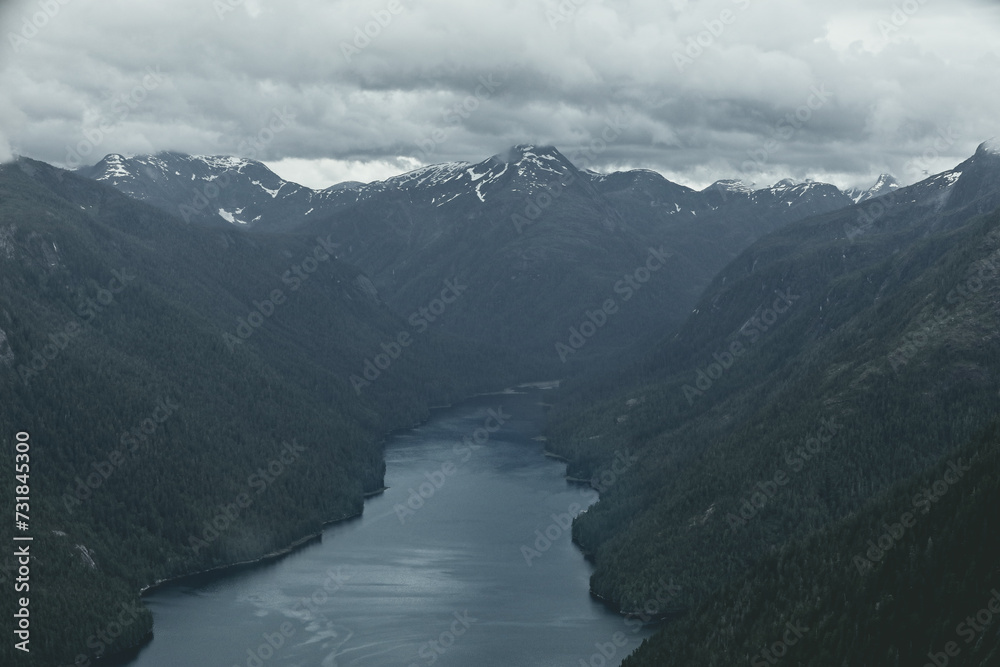 Aerial view on the wilderness in Alaska with trees and a river