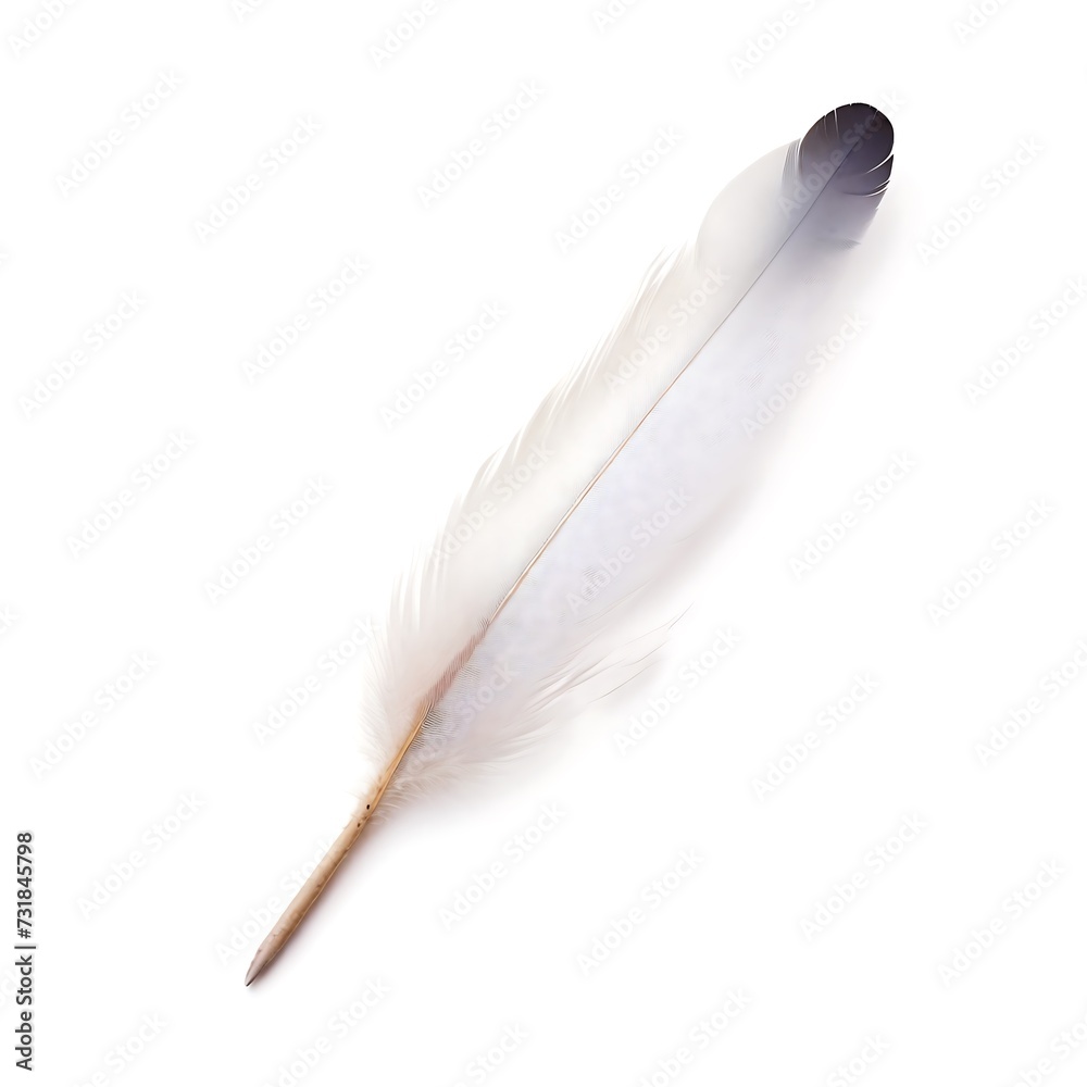 white feather isolated on white background white feather isolated on white background