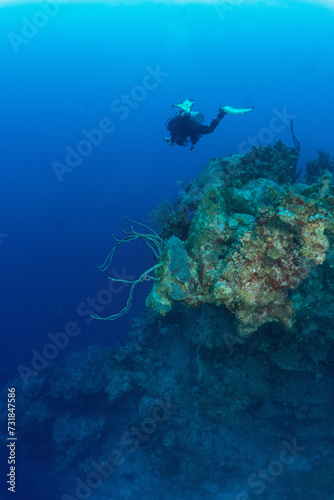 Grand Cayman Scuba Diving Photos
