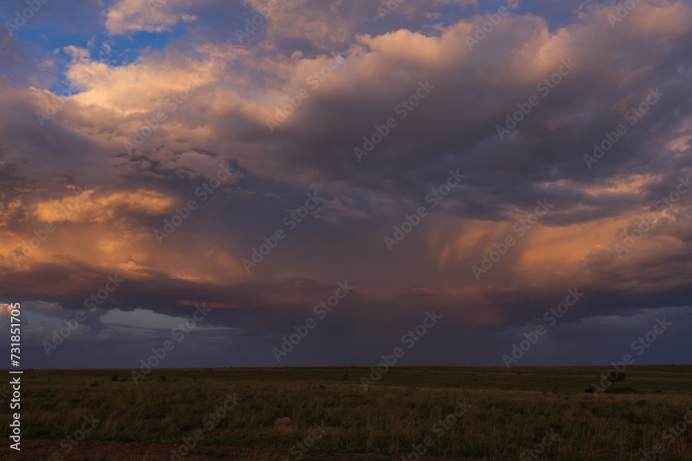 Obraz premium incoming rainfront in the savannah of Maasai Mara NP