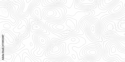 Valokuvatapetti Abstract pattern with lines topographic map background