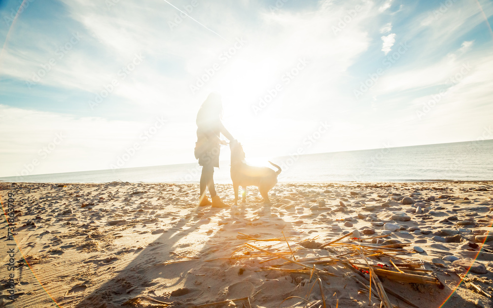 woman playing with majorca mastiff dog on the beach - obrazy, fototapety, plakaty 
