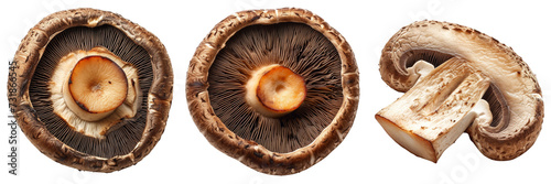 Roasted Mushroom Slice Set Isolated on Transparent or White Background, PNG