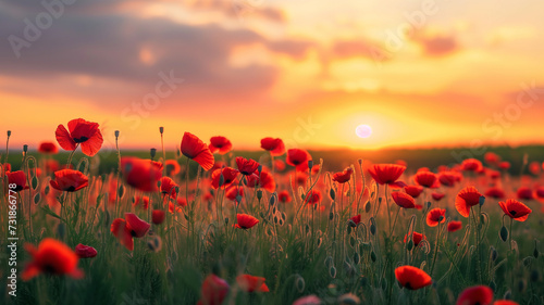 Tranquil Meadow, Colorful Poppies Bloom under Pastel Sunset