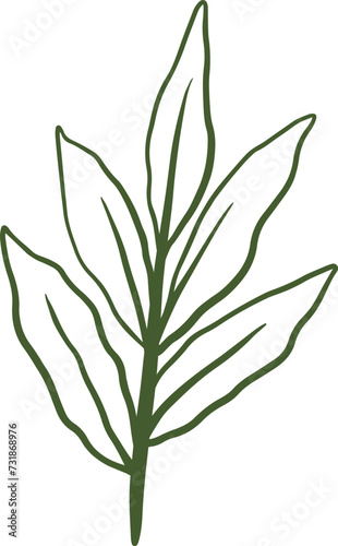 Aesthetic Green Foliage leaves Line Art Drawing Vector Illustration for Nature and Botanical Banner Element Decoration