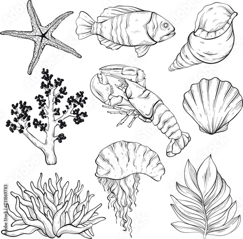 Vector outline sea creatures set.
