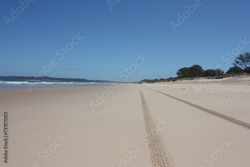 Tracks on the Beach