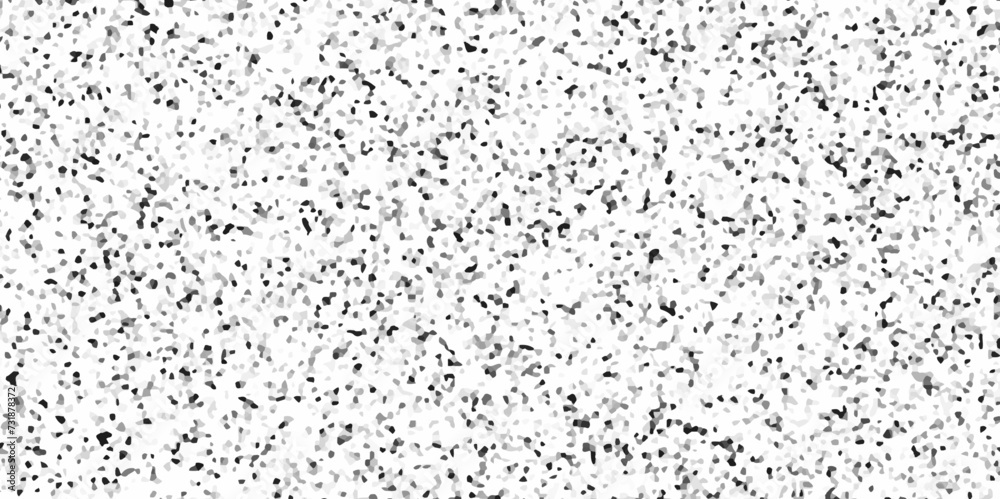 Abstract marble and granite stone, material for decoration background texture .Terrazzo polished stone floor and wall pattern and color surface .polished rock floor black and white background.