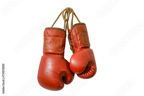 Hanging Boxing Gloves © Zahreen