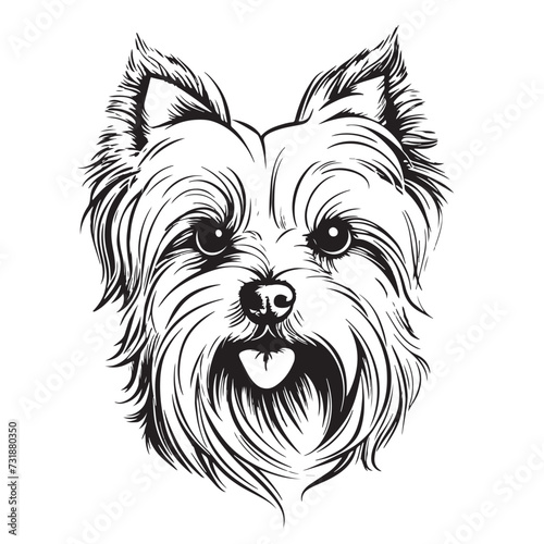 Yorkshire Terrier dog head sketch hand drawn Vector illustration