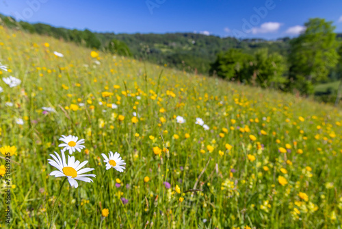Typical Spring landscape in White Carpathians near Stary Hrozenkov, Southern Moravia, Czech Republic © Richard Semik