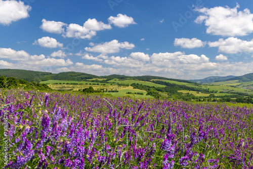 Spring landscape in White Carpathians, Southern Moravia, Czech Republic © Richard Semik