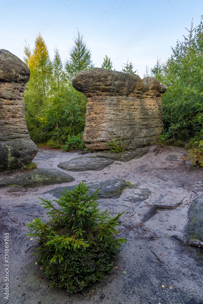 Fototapeta premium Landscape in a nature reserve Broumovske steny, eastern Bohemia, Czech Republic
