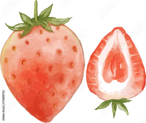 Half of strawberry watercolor illustration