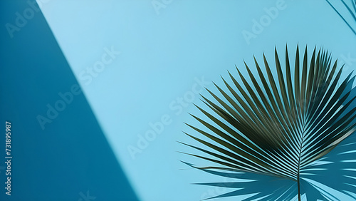 Palm leaf on a blue background, top view, background for presentation.