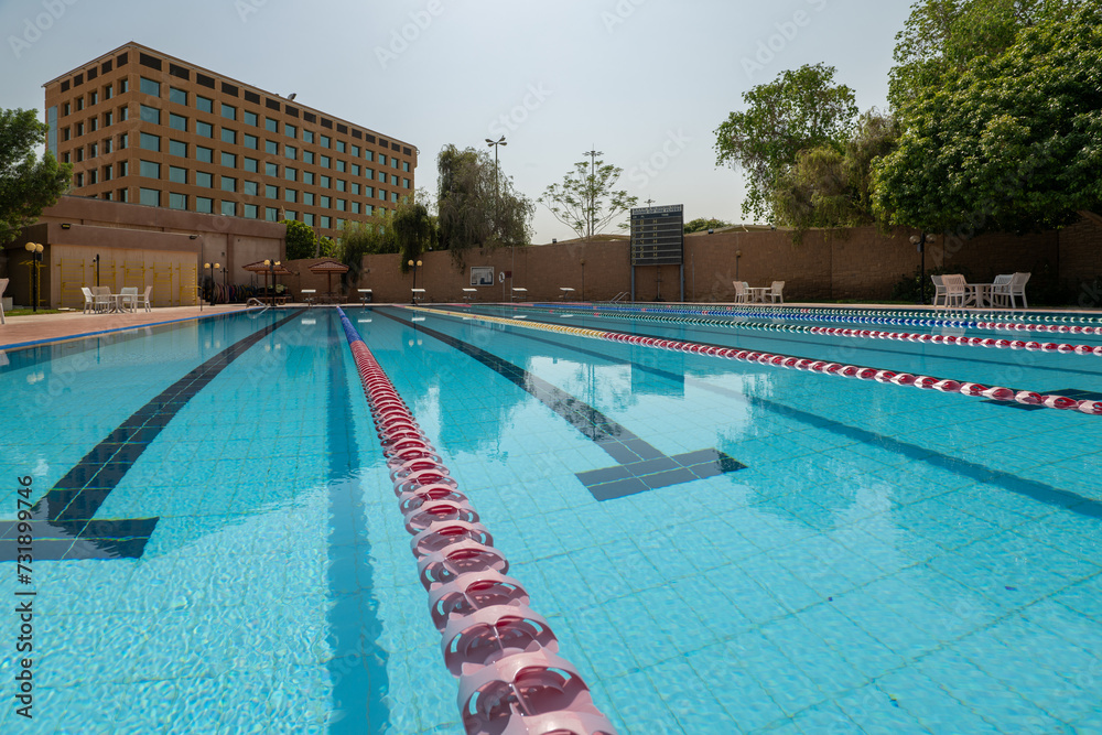 An View of a Swimming Pool Amidst Lush Greenery