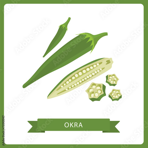 Okra whole and sliced vector illustration isolated on white background.