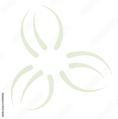 Camellia sinensis, the tea plant flower petal