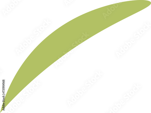 Camellia sinensis, the tea plant small twig