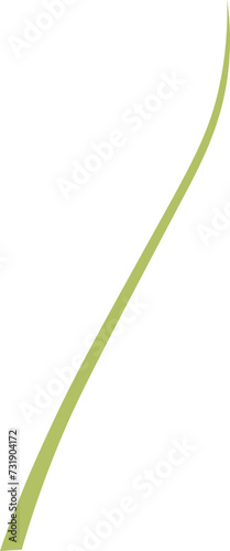 Camellia sinensis, the tea plant stem