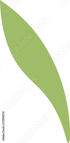 Camellia sinensis, the tea plant young leaf, leaf bud