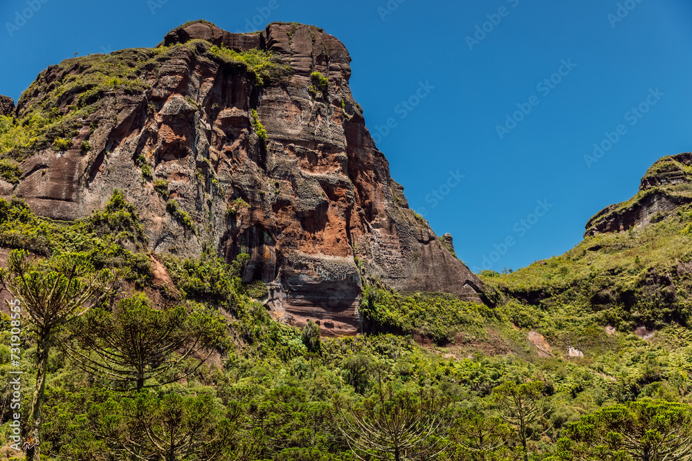 Scenic Morro dos Cabritos rock or canyon with araucaria trees on sunny day in Brazil