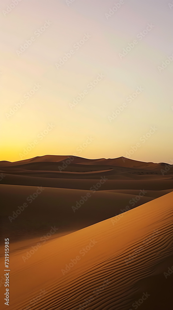dune landscape in the desert at sunset