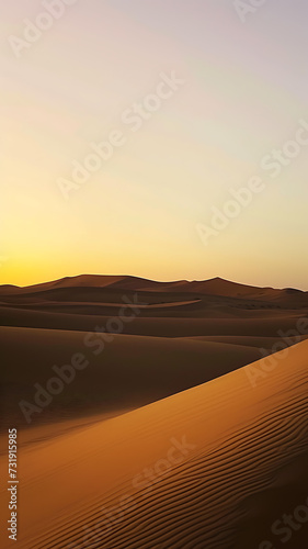 dune landscape in the desert at sunset