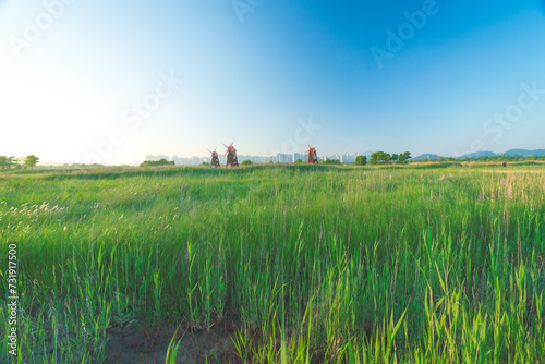 windmills green field blue sky city skyline urban contrast sustainability renewable energy grassland nature architecture tranquility tourism outdoor bright day environmentalism harmony Korea