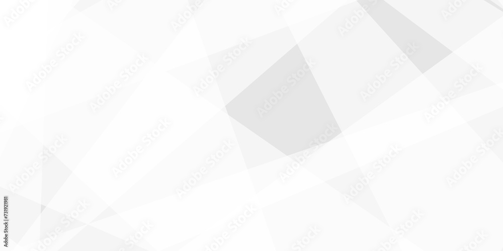 Abstract white and gray color background triangle design with layers and geometric futuristic technology texture Modern design with Gay White Polygon Mosaic Background, business and corporate texture Abstract white and gray color background triangle design with layers and geometric futuristic technology texture Modern design with Gay White Polygon Mosaic Background, business and corporate texture