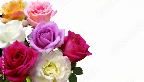Vibrant Roses for Valentine s Day