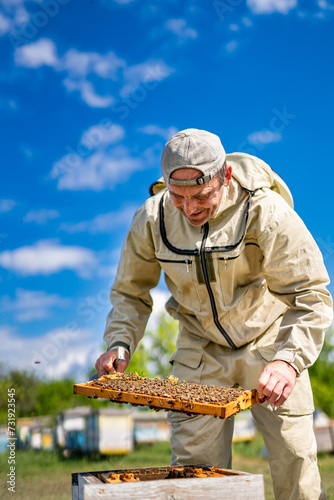 Beekeeper is working with bees and beehives on the apiary. © Vadim