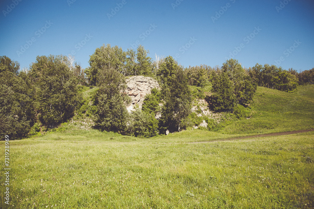 Grassy hill with rocky cliff, sparse trees, and clear blue sky on sunny day
