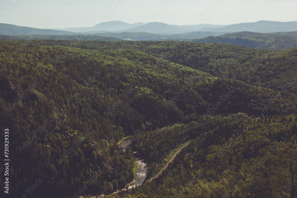 Naklejka premium Lush green forest landscape with a river running through it and mountains in the distance