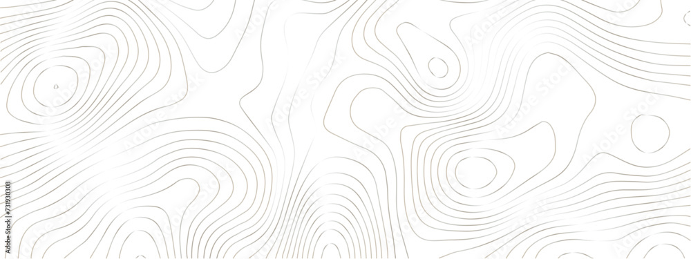 Transparent PNG Topographic line map. Modern design with White background with topographic wavy pattern design.	