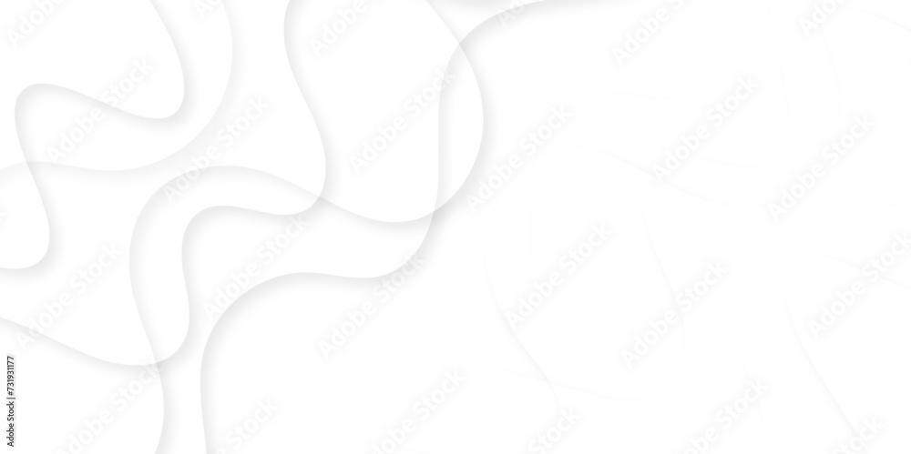 Fototapeta premium Abstract background with white and gray color technology,abstract seamless modern white and gray color,space design concept. Decorative web layout or poster,