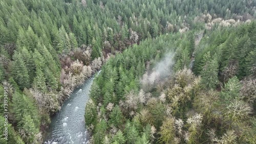 Surrounded by healthy mixed forest, the Molalla River flows through Molalla River Valley, Oregon. This scenic region is home to extensive forests, beautiful hiking, biking, and equestrian trails. photo