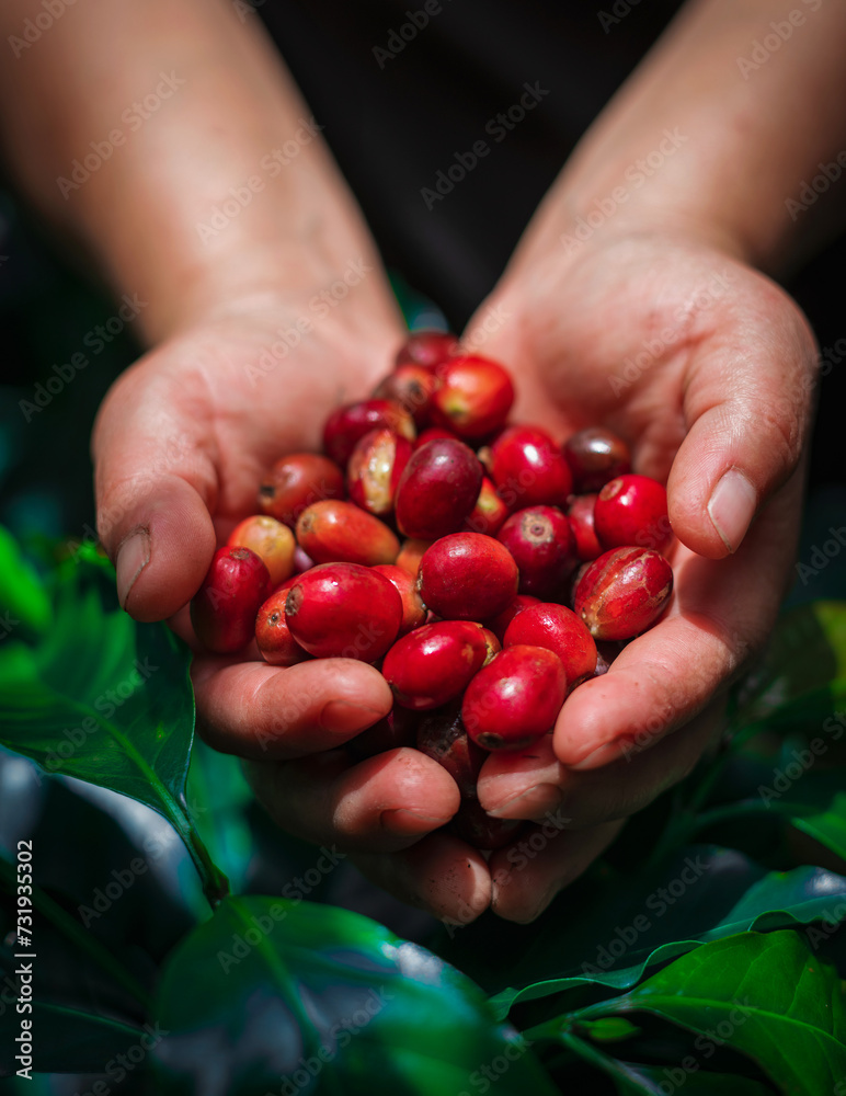 PERUVIAN COFFEE PERUVIAN COFFEE