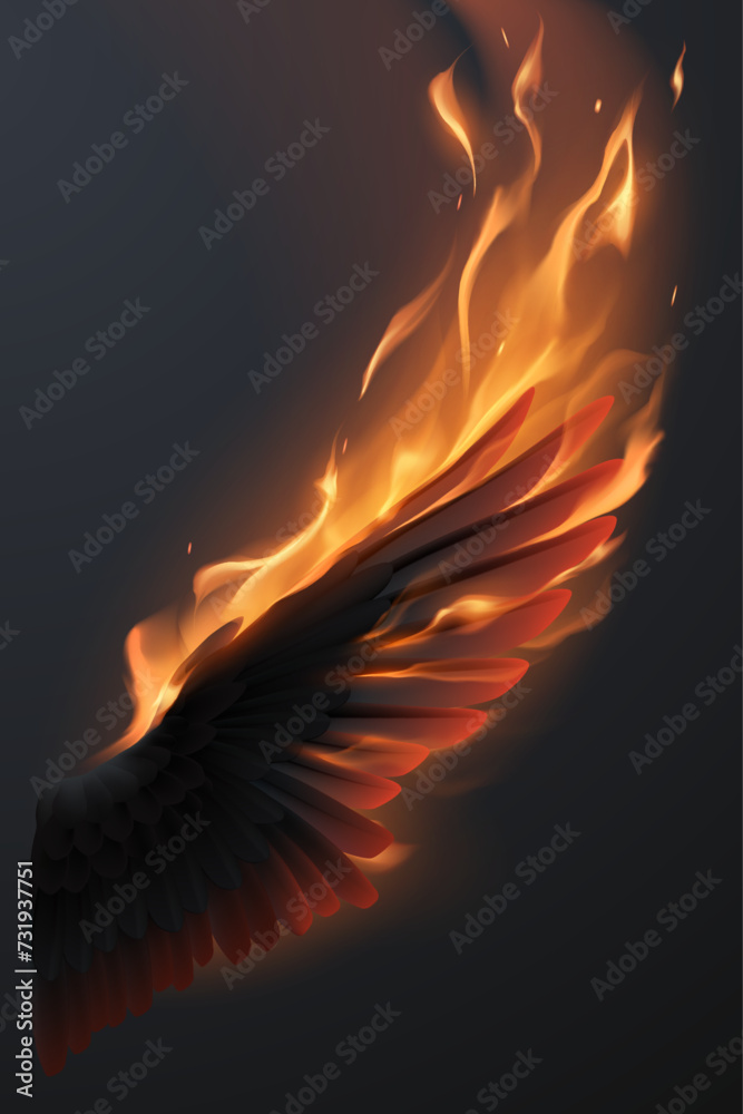 Fototapeta premium Black wing with fire flame effect