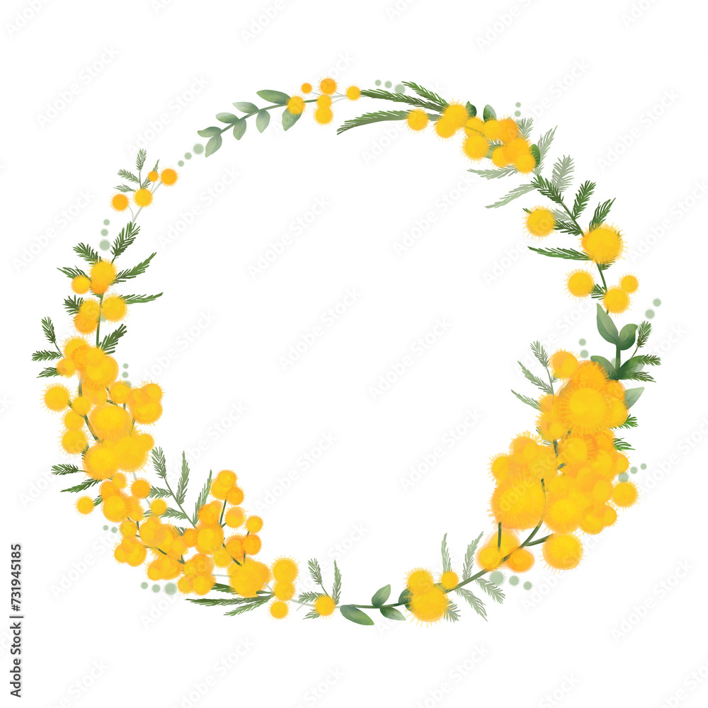 Elegant wreath from mimosa bouquets, branches and leaves of mimosa - illustration, round composition. Transparent background. PNG.
