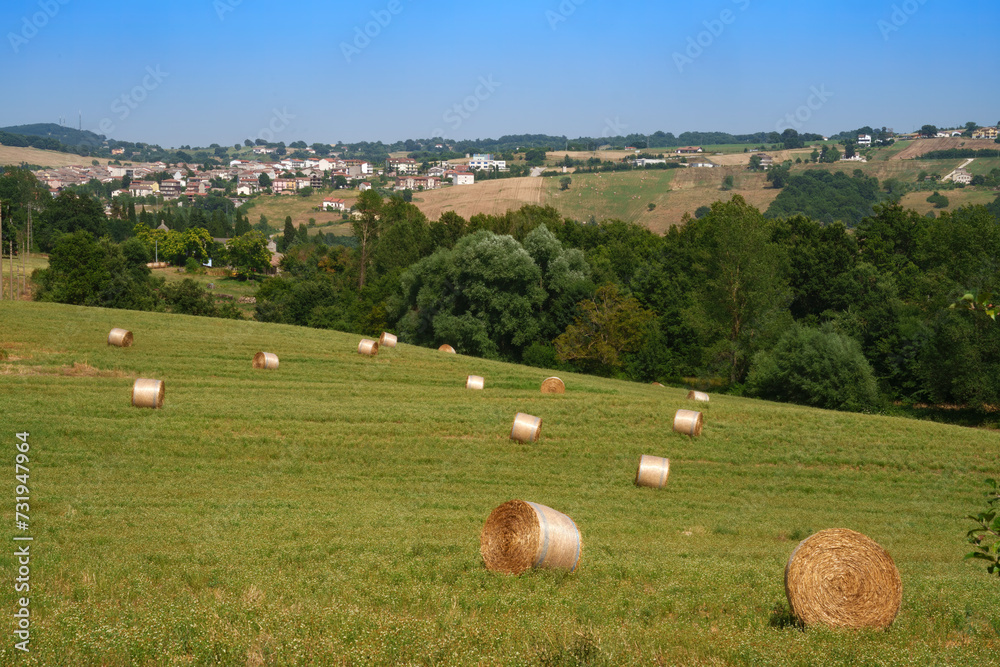 Country landscape near Gildone and Jelsi, Molise, Italy
