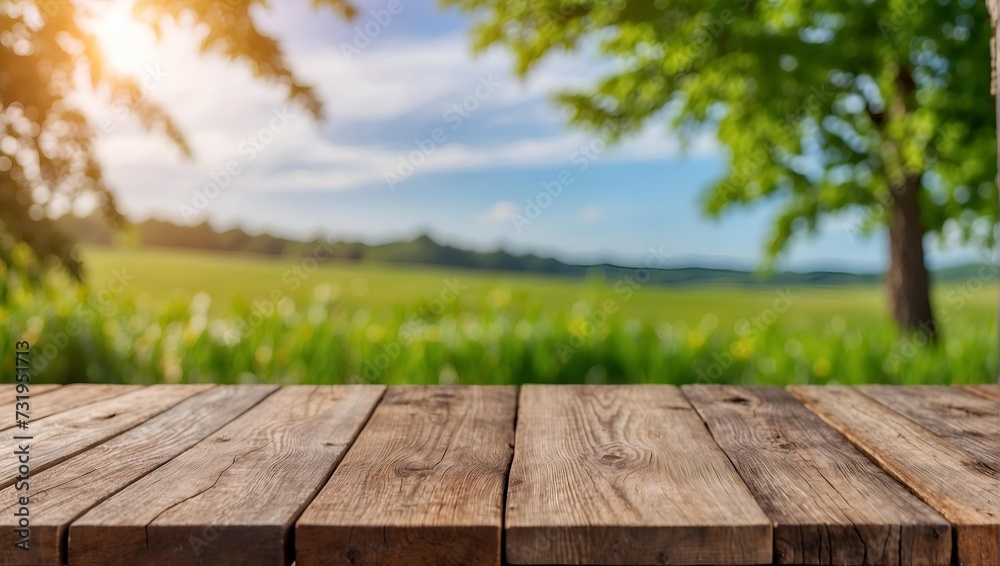 Empty wooden table with blurred summer meadow background . Product display , presentation ideas Empty wooden table with blurred summer meadow background . Product display , presentation ideas