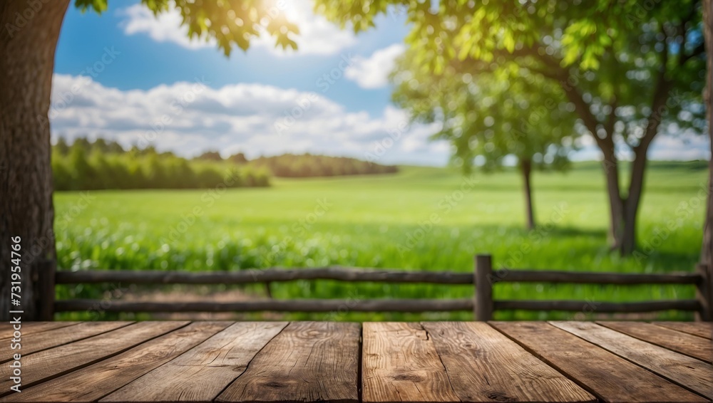 Empty wooden table with blurred summer meadow background . Product display , presentation ideas Empty wooden table with blurred summer meadow background . Product display , presentation ideas