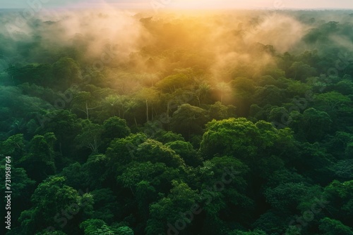 Misty Sunrise over Tropical Rainforest