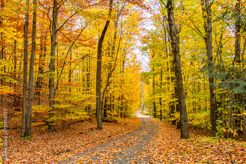 Autumn Lane-New England