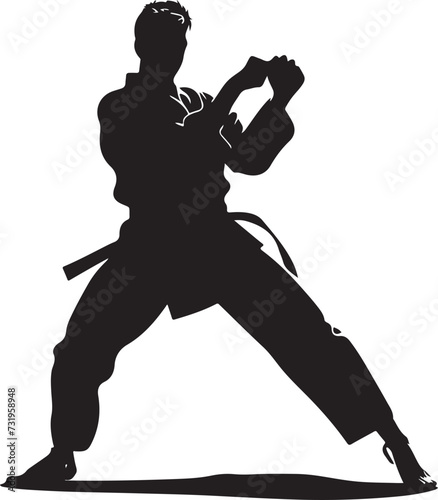 taekwondo silhouette vector illustration
