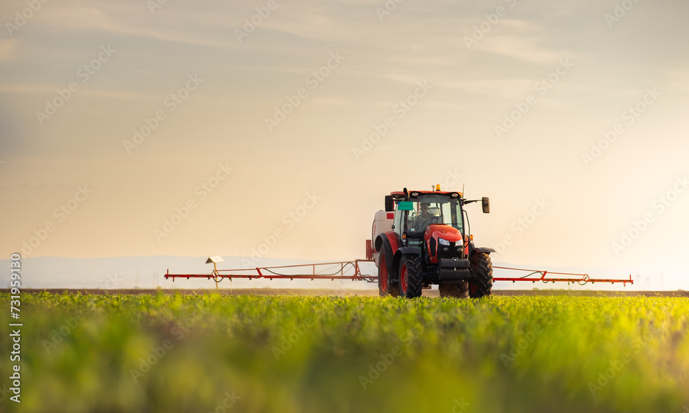 Obraz premium Tractor spraying corn field in sunset